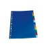 Separator 2x6 culori plastic A4